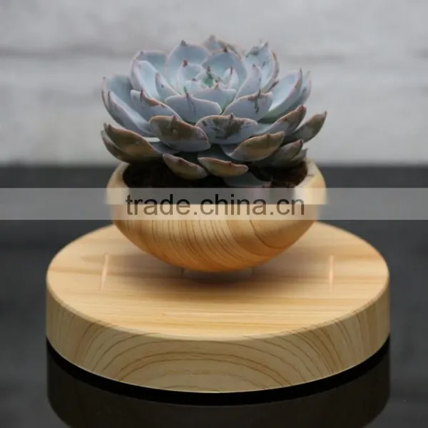 Maglev Unique Floating Air Plant Pots 2016 photo-3