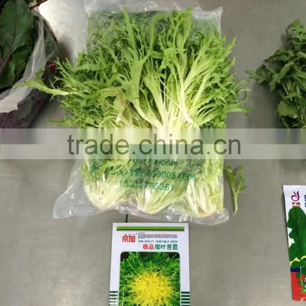 Fresh Endive photo-2