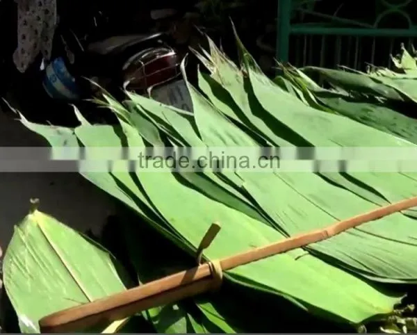 Bamboo Leaves photo-3