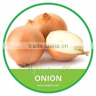 HIGH QUALITY FRESH ONION