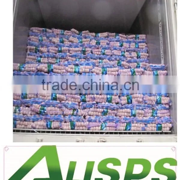 China Fresh Pure White Garlic Price photo-4