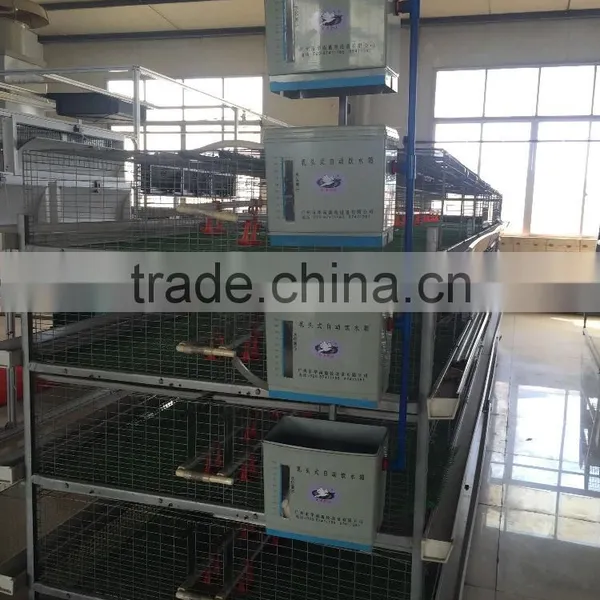 Pullet Cage (1-40days)