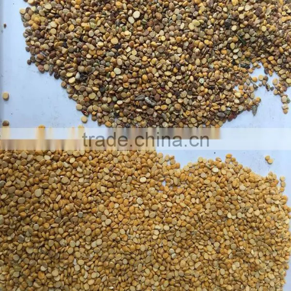 Accurate Commercial Optical Belt Color Sorter Machine Grain Color Sorter photo-5