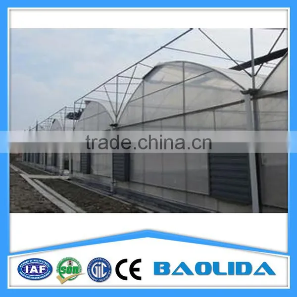 Multi-span Tunnelgreenhouse for Fruit photo-2