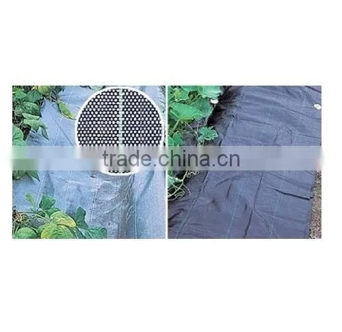 Virgin Polypropylene uv Agriculture Ground Cover photo-2