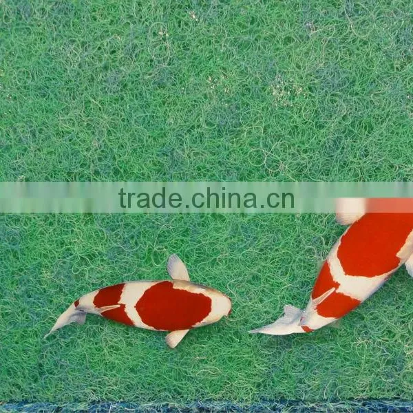 Good Quality Durable Biological Filter Mat for Fish photo-3