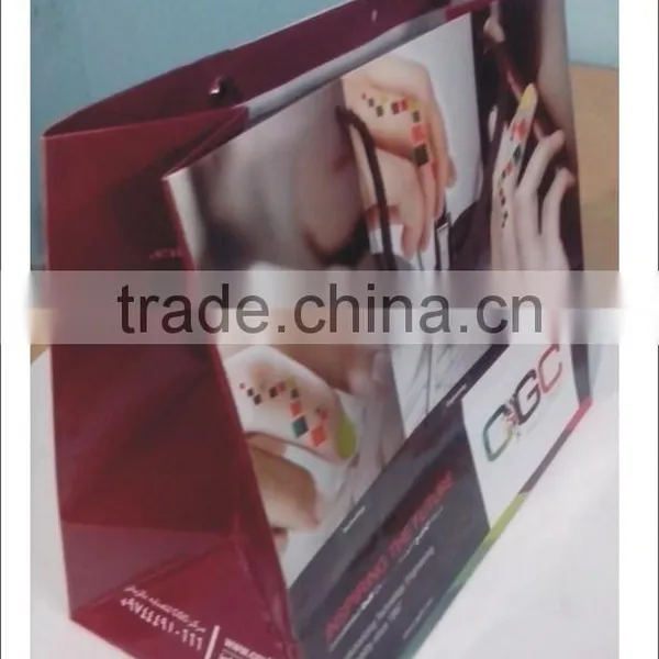 Paper Gift Bags With Handles / Gift Bags With Logos photo-4
