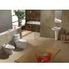 Toilet Seats