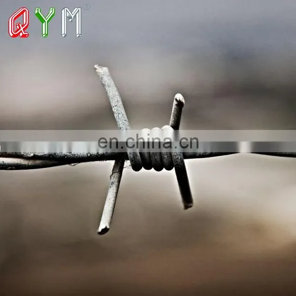 Barbed Wire Weight Per Meter 500m Barb Wire Fence Price photo-4
