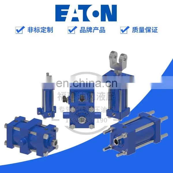 Eaton Vickers Standard Column Pull Cylinder 40/25-108Ln04F61701 Mould Hydraulic Cylinder photo-4
