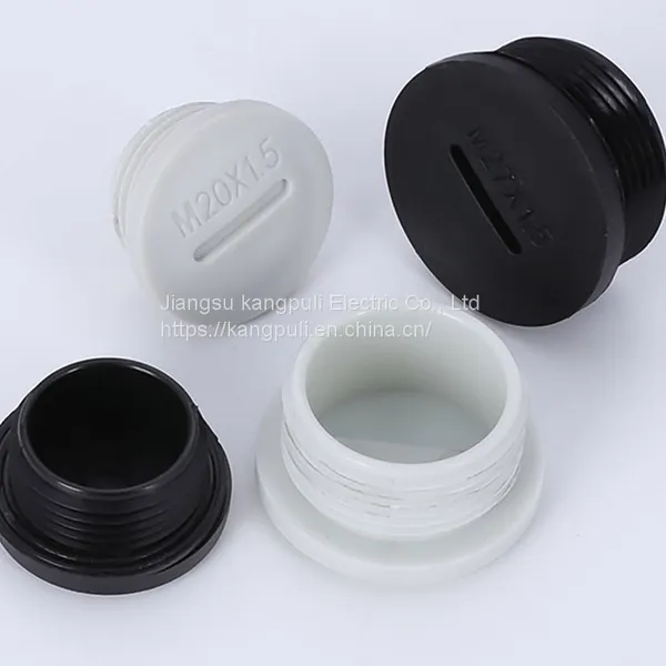 Plug Cap photo-4