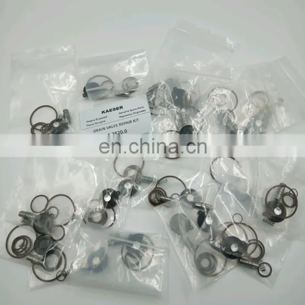 Kaeser 8.2520.0 EWD Kit Air Compressor Spare Parts High Quality 8.2520.0 photo-6
