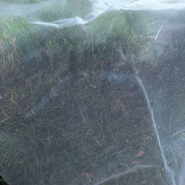 2025 Hdpe Anti Insect Net Green House 5 Years Using Life Time photo-6