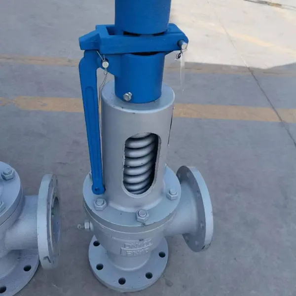 Safety Valve photo-2