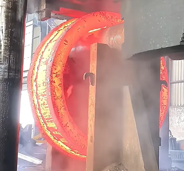 Double-Rim Ring Forgings | Forged Components | Factory Customization photo-3