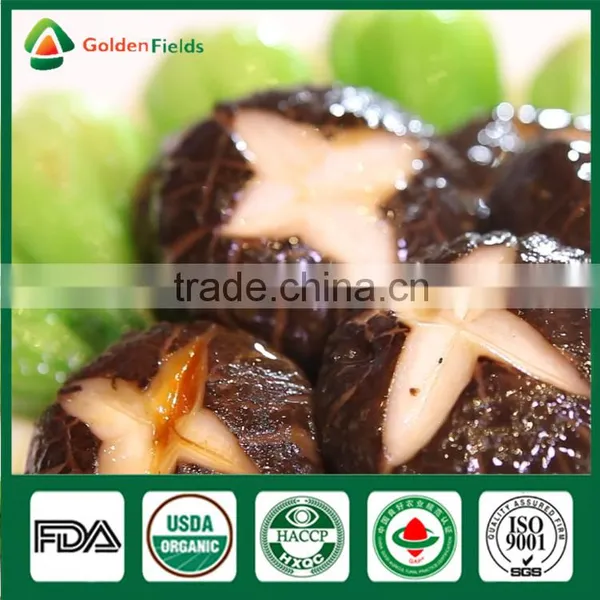 Supplier of Fresh Dried Shiitake Mushroom Growing Shiitake Mushroom Log Spawn for Mushroom Farm photo-4