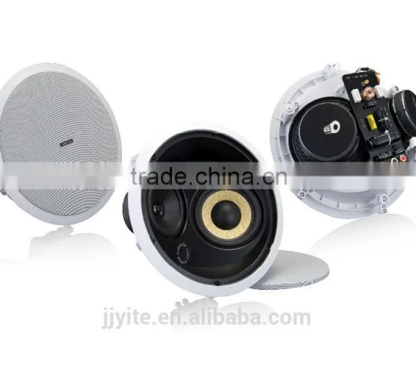 Ceiling Speaker