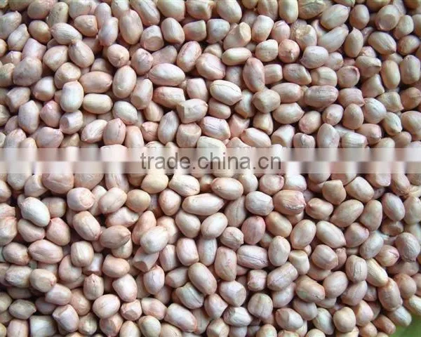 Chinese Round Type Peanut Kernels photo-4