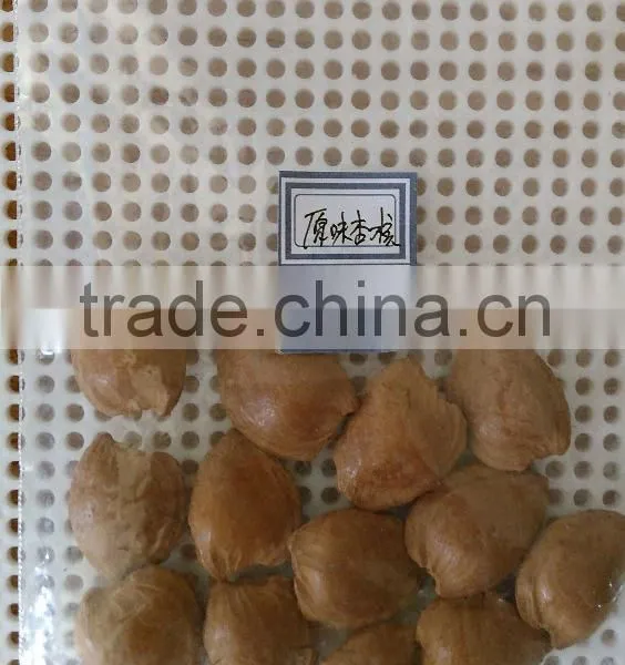 Supply With Chinese Bulk Spicy Flavored Roasted Apricot Kernels in Shell photo-2