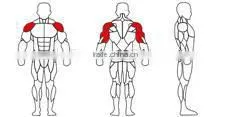 High Quality Shoulder Press Fitness Equipment-JG-1907 photo-2