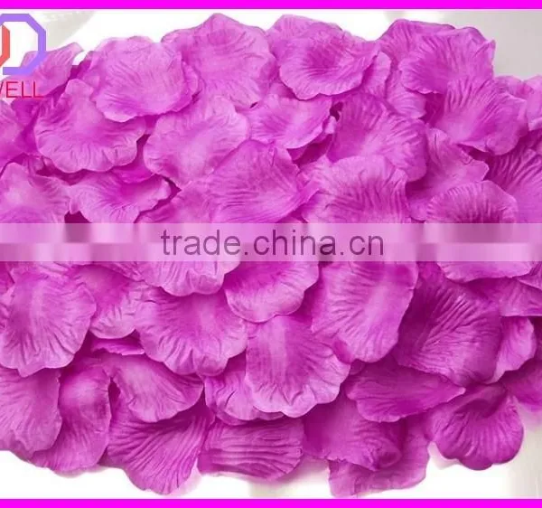 Preserved Natural Rose Petals