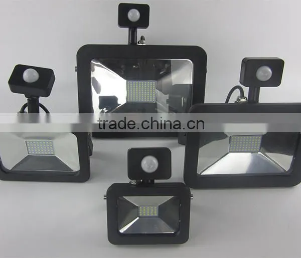 50w Led Flood Light Motion AC Linear Driverless Security Led Flood Lights for Garden photo-2