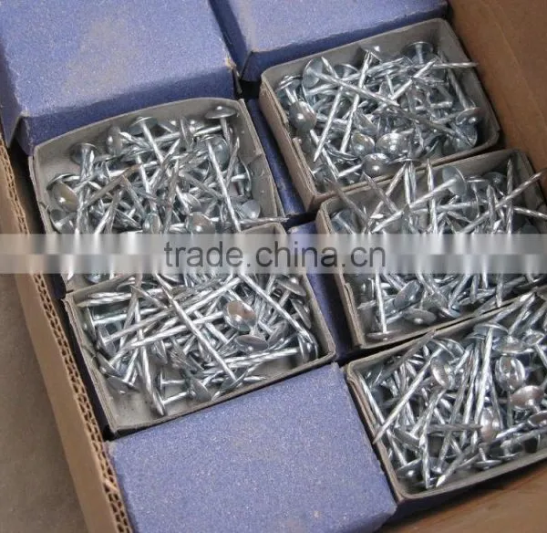 1''-6'' 4kg Common Nails for Dubai Market photo-2