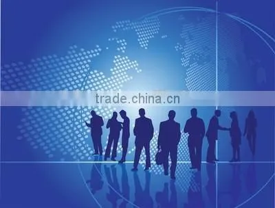 China Business Consultant Company