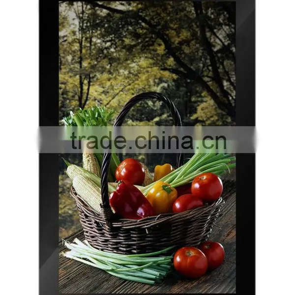 65 Inch Multimedia Outdoor LCD Displays