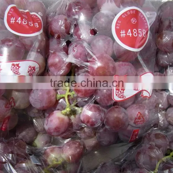 Chinese Fresh Grapes