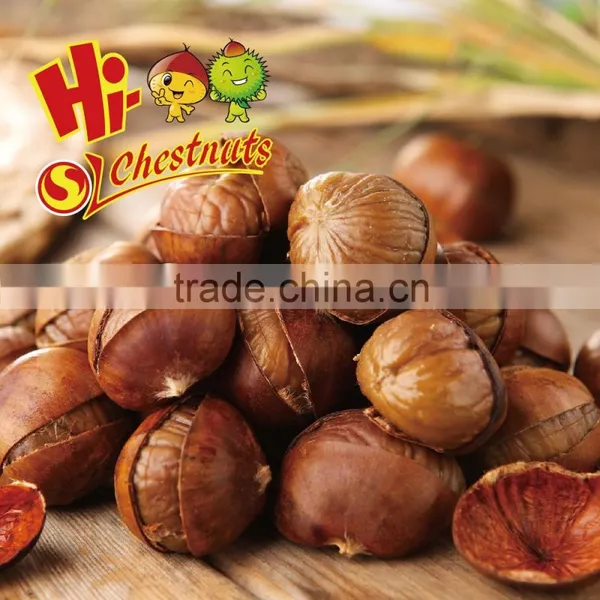 Natural Sweet Chinese Roasted Chestnuts Snacks--ready to Eat Healthy Nuts Snacks photo-2