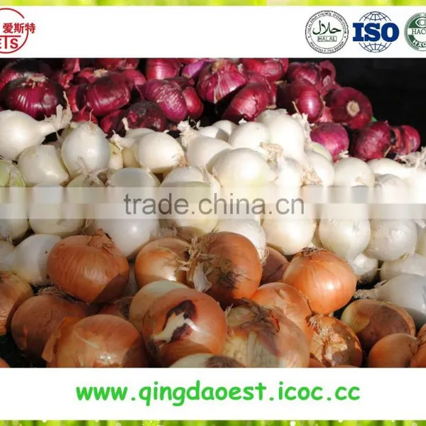 Best Quality Fresh Onion From China photo-2