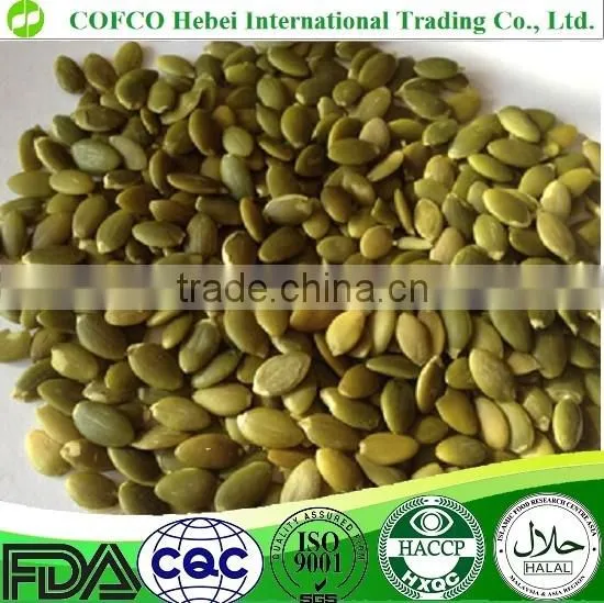 AA Grade Pumpkin Seeds Kernel for Bakery