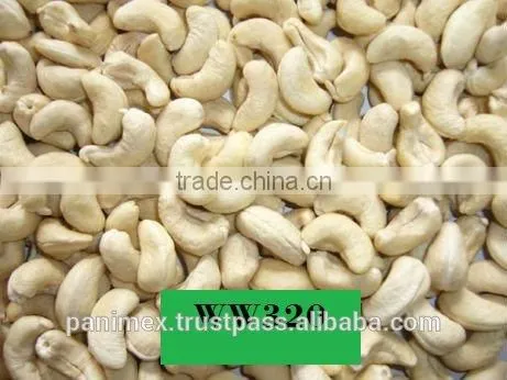Vietnam cashew nuts
