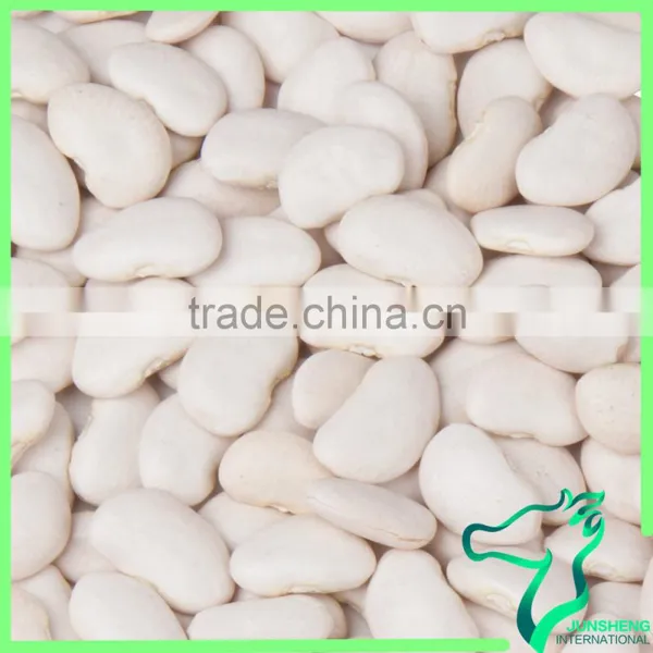 Large White Kidney Beans 2016 Crop High Quality Large Type White Kidney Beans photo-3