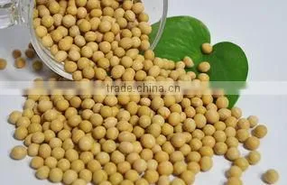 Soy Oligosaccharide for Lose Weight -- Burning Fat photo-6