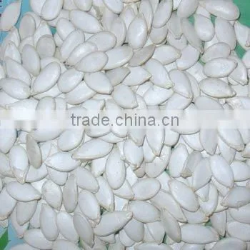 Snow White Pumpkin Seeds NEW CROP 2009