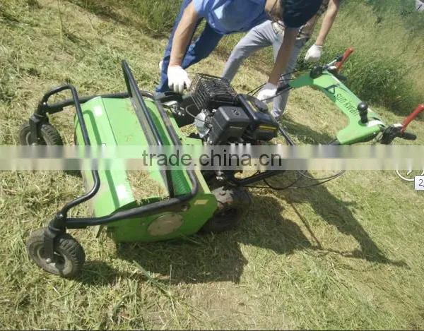Farm Machine 6.5HP Portable Motor Lawn Mower photo-2