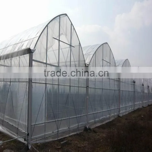 10mm Cheap Polycarbonate Agricultural Greenhouse photo-5