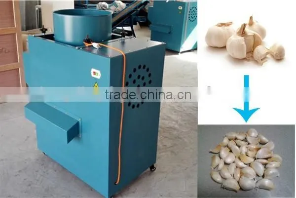 The Price of Garlic Separator Machine and Peeling Machine in China Factory photo-3