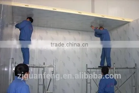 Storage Cold Room Price for Meat photo-3