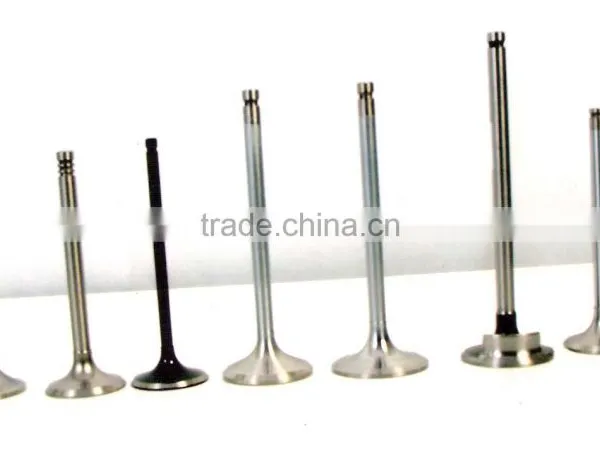 Engine Valve, Valve Guides Tappets