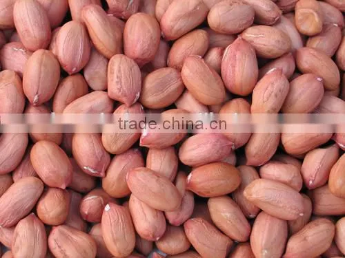 FE-06 High Speed Soybean and Rice Grinding Machine Sesame Almond Maker Peanuts Machine photo-5