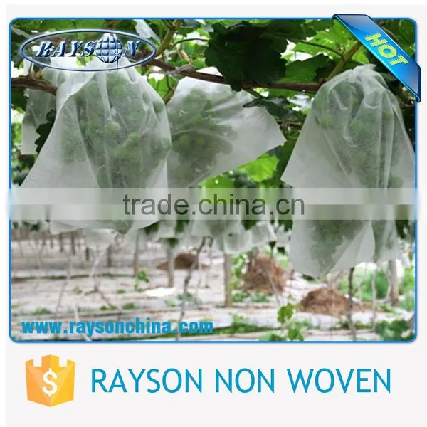 3 Years Warranty Best Sale Banana Fruit Bag / Frost Cover photo-5
