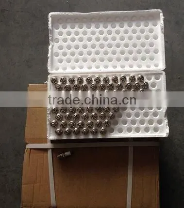 Spark Plugs for 1E40F-5A,1E40F-6A Brush Cutter photo-2