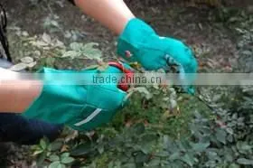 DDSAFETY 2017 Garden Glove Wholesale Cotton Glove Safety Working Gloves photo-2