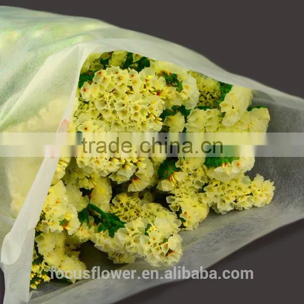 Factory Price Supply Online Shopping Statice Good Quanlity for Anniversary photo-3