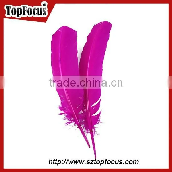 Dyed Bulk Imitation Wholesale Feathers for Carnival Costumes for Sale photo-6