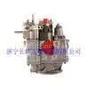 PT FUEL PUMP AND PIPING