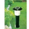 Solar Lawn Light